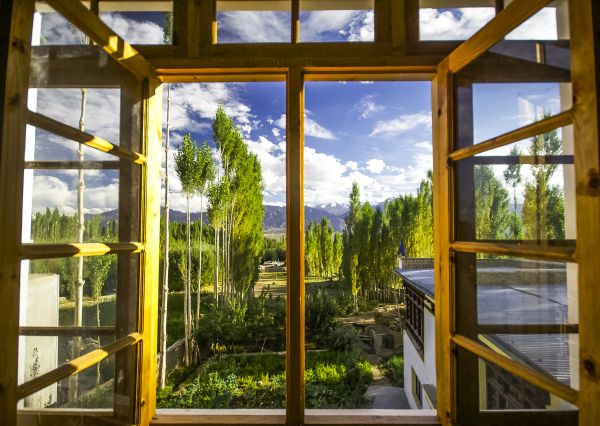 Cost of Wood Window Replacement in Worcester